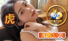 合材料网赤兔网V51